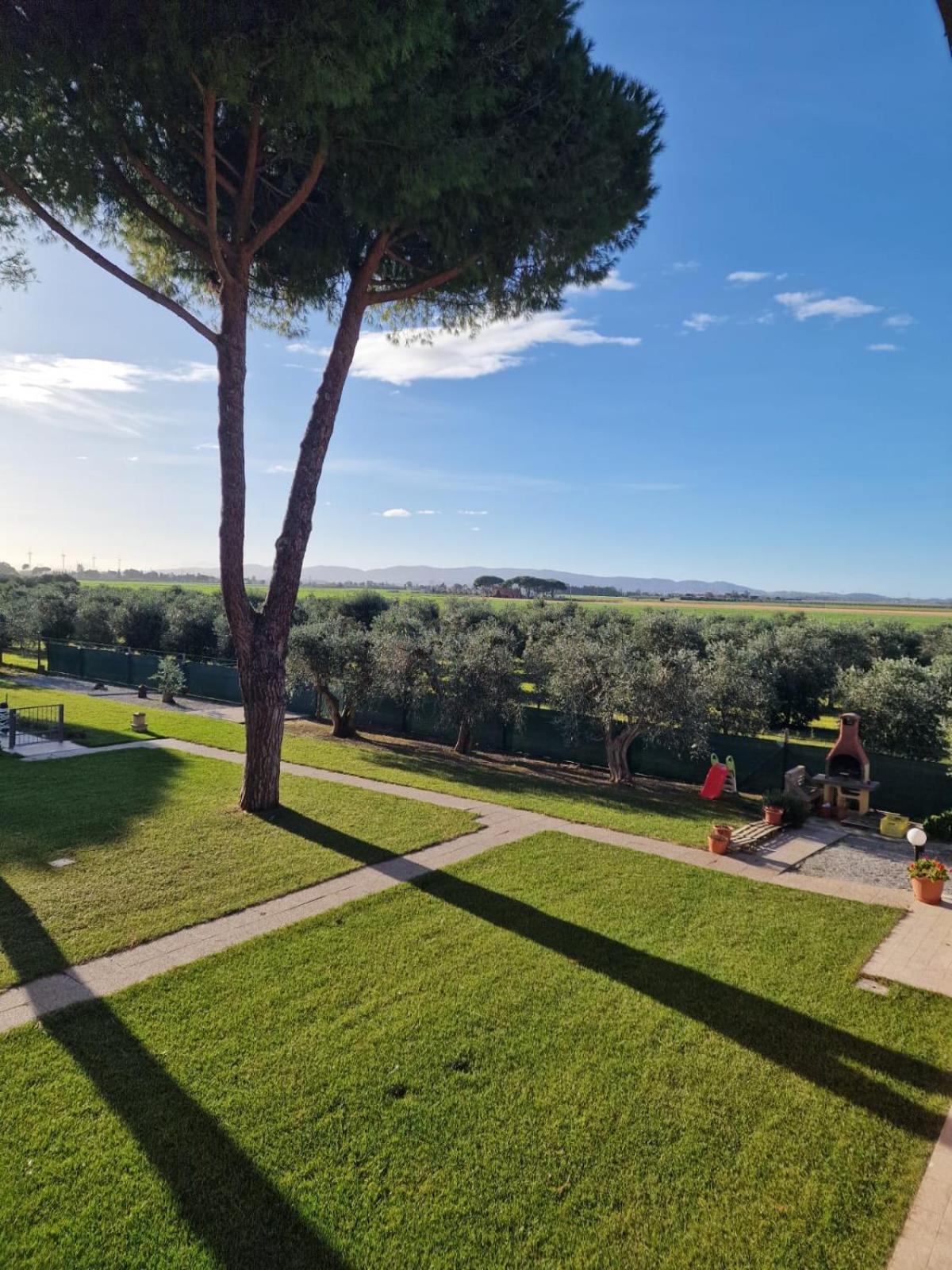 Agriturismo Nonno Gino - Charme&Relax Piombino Dış mekan fotoğraf